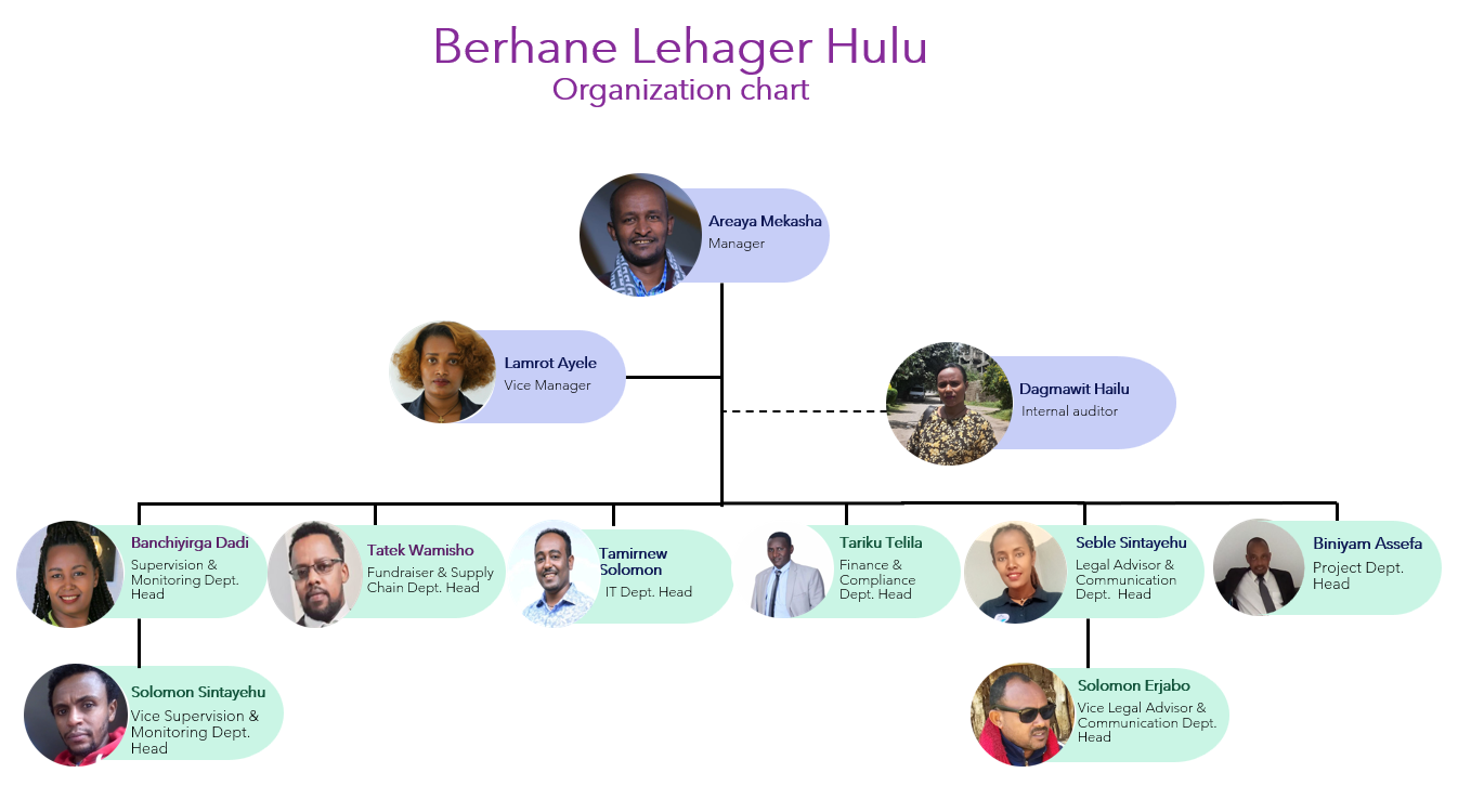 Organogram – Berhane For All Country